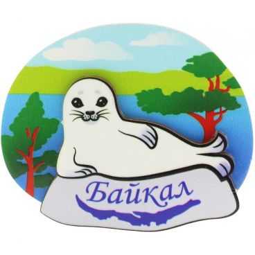 Double magnet &quot;Baikal&quot;